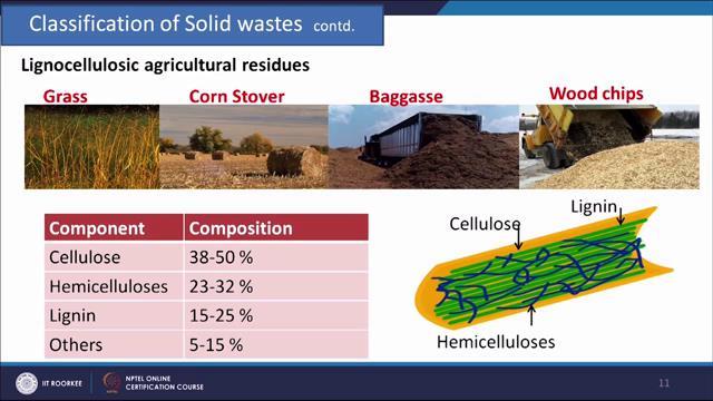 (Refer Slide Time: 11:13) So, some examples of agro based solid waste that is lignocellulosic biomass or waste we can say are some example Grass, Corn Stover, Baggasse and wood chips.