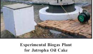 Biogas from Jatropha Deoiled Cake Around 320 litres of biogas