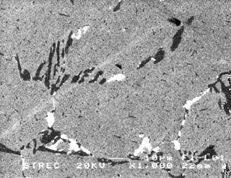 6 SEM micrograph of specimen after aging at 1000 C for 24 hours Figure.