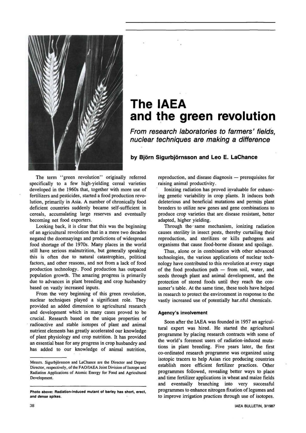The IAEA and the green revolution From research laboratories to farmers' fields, nuclear techniques are making a difference by Bjorn Sigurbjornsson and Leo E.