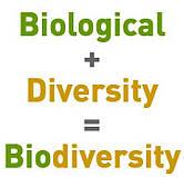 Danger of losing bio-diversity & species in the tropicals What is biodiversity again? Life, the world, the variation of life for the entire globe. How much diversity of life is on this Earth?