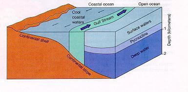 Deep water is only formed in a few places on the globe, and a major one is the North Atlantic.