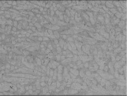1176 I. Shohji et al. Micro size specimens Bulk specimens 4 µm Fig.