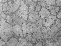 1 Microstructures Figure 1 shows microstructures of as-cast micro size specimens and bulk specimens without aging treatment.