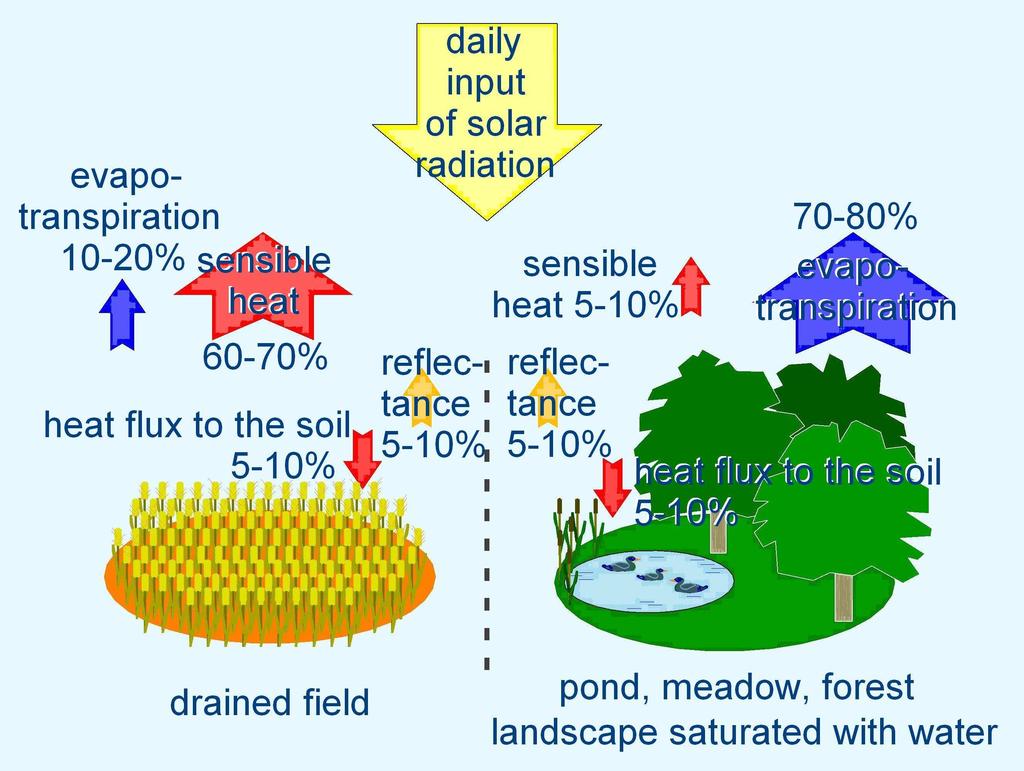 DISTRIBUTION OF SOLAR ENERGY ON LAND WITH AND WITHOUT WATER Most solar energy is changed