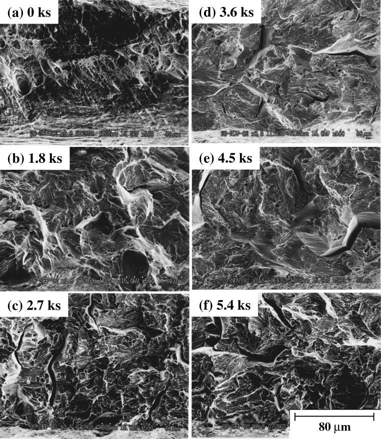 Mechanical Properties and Microstructures of a Thin Plate of Nickel-Free Stainless Steel with Nitrogen Absorption Treatment 1369 Fig.