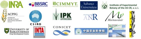An International Research Initiative for Wheat Improvement The following research and funding organisations propose/support this initiative: Argentina: National Institute for Agricultural Technology