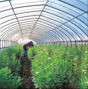 to recycle, plastic greenhouses for agriculture use a resource-saving material that