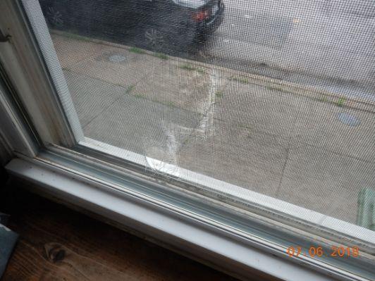 Window screen(s) damaged.