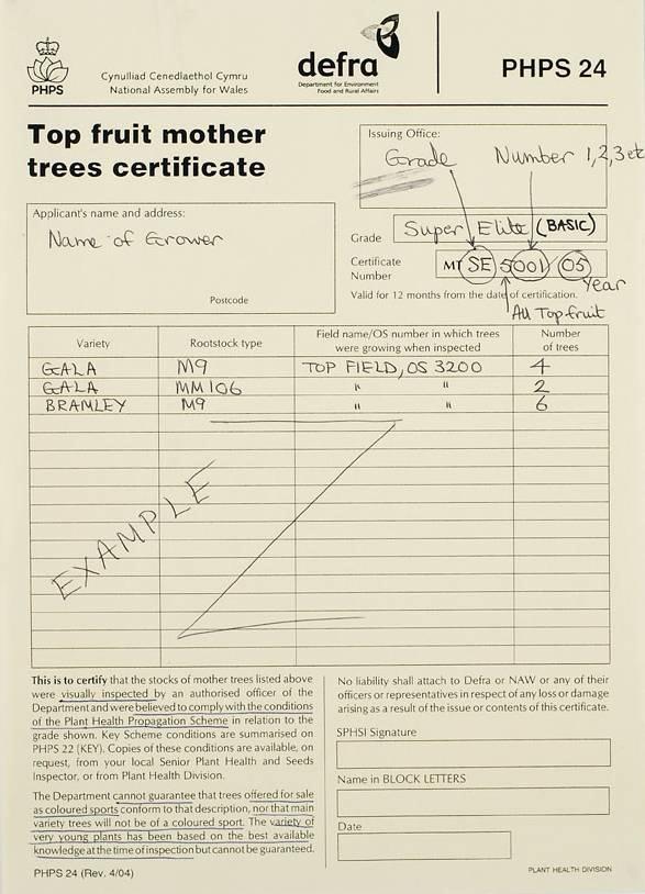 Basic material certificate issued by the UK For Malus (apple) mother trees, shows: number of trees, variety