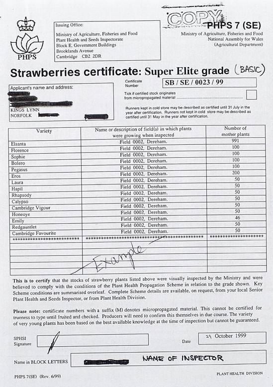 Basic material certificate issued by the UK For Fragaria (strawberry), shows: number of mother plants in field, field name,