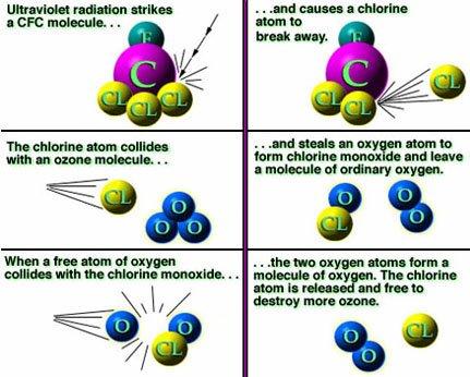 refrigeration equipment (freon) Chlorine atoms are highly reactive with ozone, and they steal away an oxygen atom Eventually, the chlorine-oxygen molecule