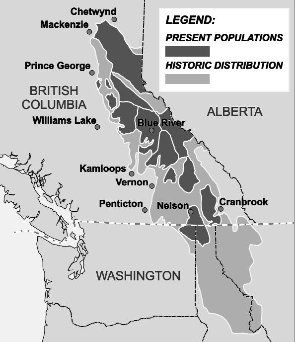 HATTER Table 1. Population size, trend, and density of mountain caribou subpopulations in 1997. Mountain caribou Population Population Range Density subpopulation size trend (km 2 ) a (no.