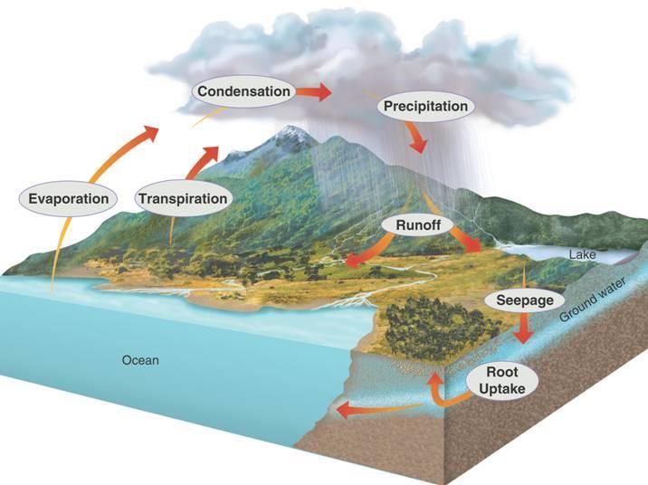 THE WATER CYCLE Water moves
