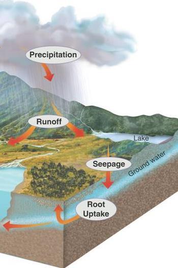 THE WATER CYCLE Back on land: Water runs along the surface of the ground until it