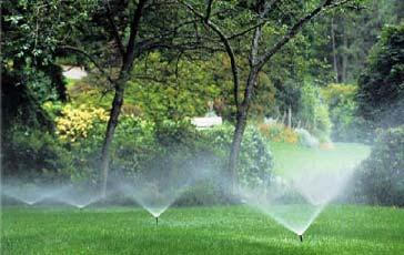 Water Efficiency Water Efficient Landscaping Limit or eliminate the use of