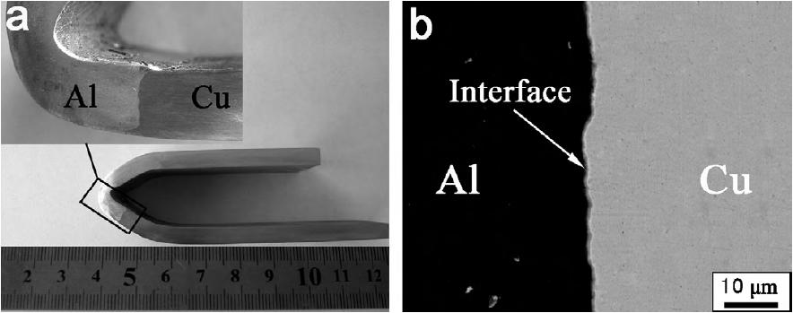 Figure (2.3) (a) Macrograph of the joint after bending test, (b) magnified SEM backscattered electron image of the interface region [45]. Figure (2.