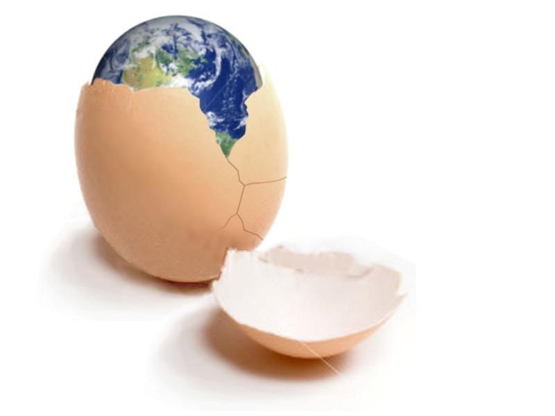 The egg A global food 13% of Global