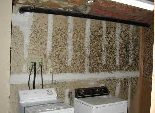 ): Moldy materials that can be cleaned should be cleaned using soap or detergent solution or a HEPA-vacuumed (a vacuum equipped with a High-Efficiency Particulate Air filter).
