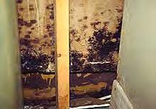 Also, the work area may need to be contained to prevent the spread of mold to other areas.