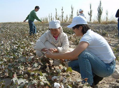 ESQUEL CHINA WATER EFFICIENCY & IMPROVED YIELDS Esquel s research team studied irrigation methods in order to conserve water, a scarce resource in Xinjiang.