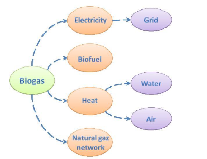 Like this, biogas can be called swamp, marsh, landfill or digester gas. The anaerobic digesters are usually called biogas plant.