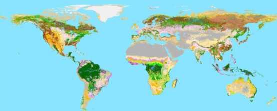 Available biocapacity in 1999: Biocapacity 11.4 billion ha (11.4 x 10 9 x 10 4 m 2 ) of biologically productive space (25% of the Earth) 2.3 - Oceans and 9.1 - Land inland water 1.5 - Cropland 3.
