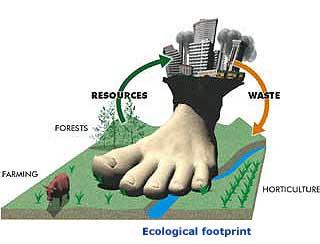 Ecological footprint Amount of productive land and water required for an individual, a city, a country, or humanity, to produce all the resources it consumes and to absorb all the waste it generates,