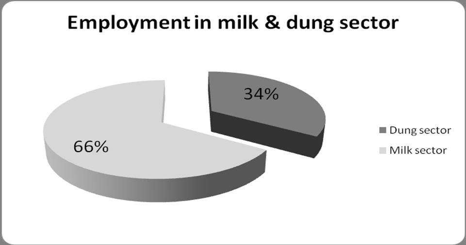 1/3 of dairy jobs are in the dung sector in