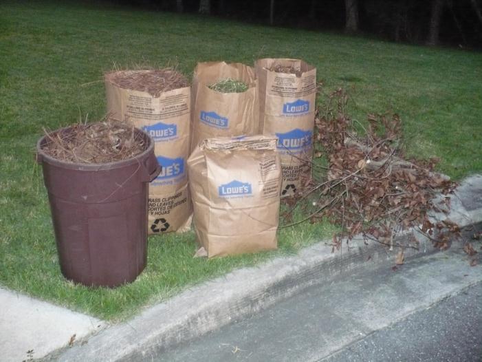 MSW yard waste MSW is abundant in the southeast region due to the large development of urban areas.