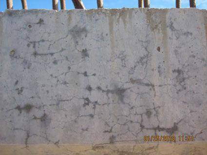 cracked concrete.