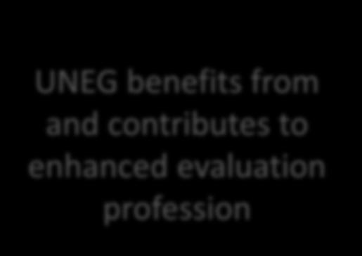 profession Outcomes Enhanced exchange among UNEG members and external