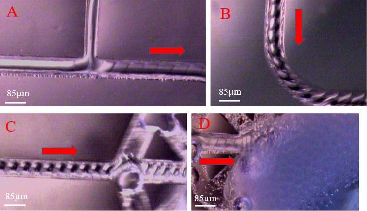 Figure 21: W/O microdroplet formation in Device 1- These photos show the formation of W/O droplets in a hydrophobic PDMS with the Device 1 geometry. The dispersed water phase contains 0.