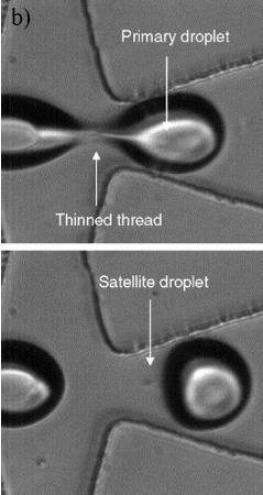 (Bottom) Under 400 magnification, the monodispersed satellite droplets collected at the output have diameters of 2.8 µm [53]. b) Generation of satellite droplets.
