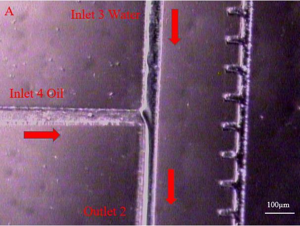 4.5.2 O/W Microdroplet Results The hydrophilic droplet creation in a PDMS-PDMS device was initially very difficult to integrate in the stacked device orientation because of the added complications of