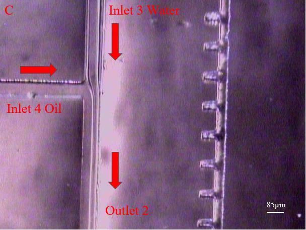 Figure 32: Co-flow of water and mineral oil in Device 2A and 2B- These images show the coflow of the continuous SDS water phase and mineral oil with Span 80 dispersed phase in the outlet channel of