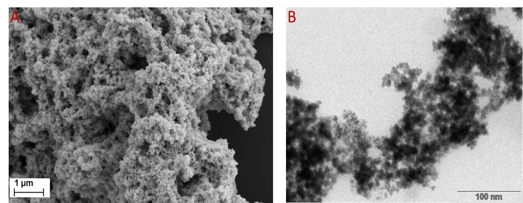 Figure S9. (A) SEM and (B) TEM images of IrO x foams.
