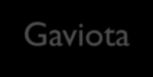 Gaviota Creek- Site Strategy
