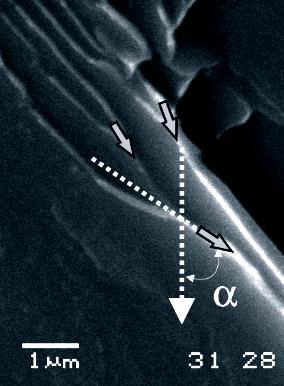 River patterns on a cleavage facet Fig. 6. Method used to define a local propagation vector on the cleavage fracture surfaces resulting of impact and bending test.