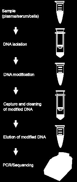 PRINCIPLE & PROCEDURE The Methylamp Coupled DNA Isolation & Modification Kit contains all reagents required for DNA isolation and bisulfite conversion.