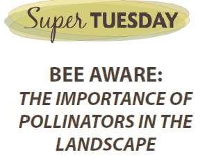 Pollinator Issues Affect Arborist and Landscape Professionals on a Daily