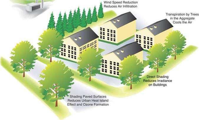Benefit 2: Energy Use Trees shade buildings Reduces demand for air conditioning Reduces electricity consumption