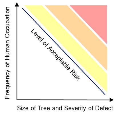 APPENDIX B RISK ASSESSMENT / PRIORITY AND PROACTIVE MAINTENANCE Risk Assessment Every tree has an inherent risk of tree failure or defective tree part failure.