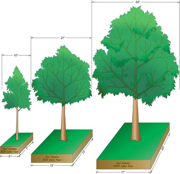 APPENDIX D TREE PLANTING Tree Planting Planting trees is a valuable goal as long as tree species are carefully selected and correctly planted.