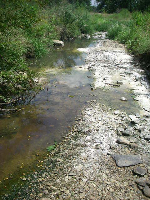 Sewage in the tributary of the White River. White material is lime.