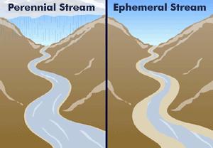 Ephemeral Streams Flow in direct response to precipitation Not