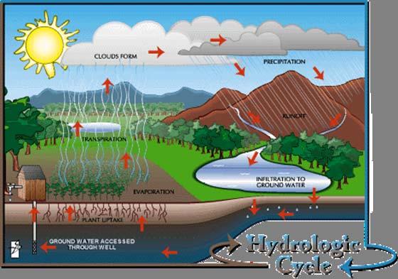 Hydrologic Cycle Precipitation