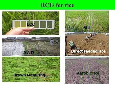 by 10 to 30% (Chopra et al.,2012) Direct seeded rice (DSR) followed by ZT wheat reduced the global warming potential of ricewheat system by 41% as compared to conventional system (Bhatia et al.