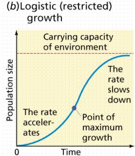 N. Carrying Capacity the maximum number of organisms an ecosystem can support 1. based on limiting factors factors that limit the size of a population 2 types a.