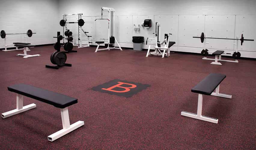 DUO TILE Premium performance sports flooring with all the benefits of modular tiles Shock absorbent, spike and blade resistant Even color distribution and state-of-the-art precision quality edges